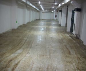 ������͸����